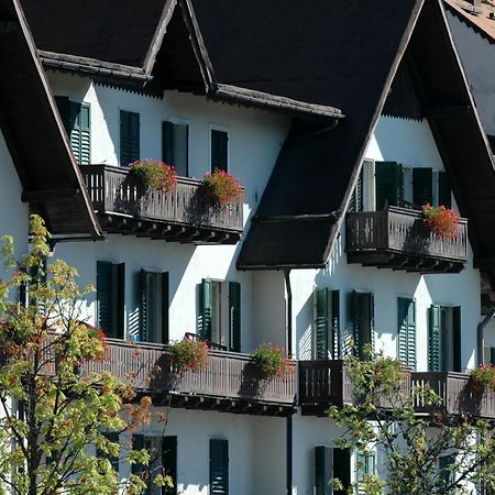 Th San Martino - Majestic Dolomiti Hotel San Martino Di Castrozza Dış mekan fotoğraf